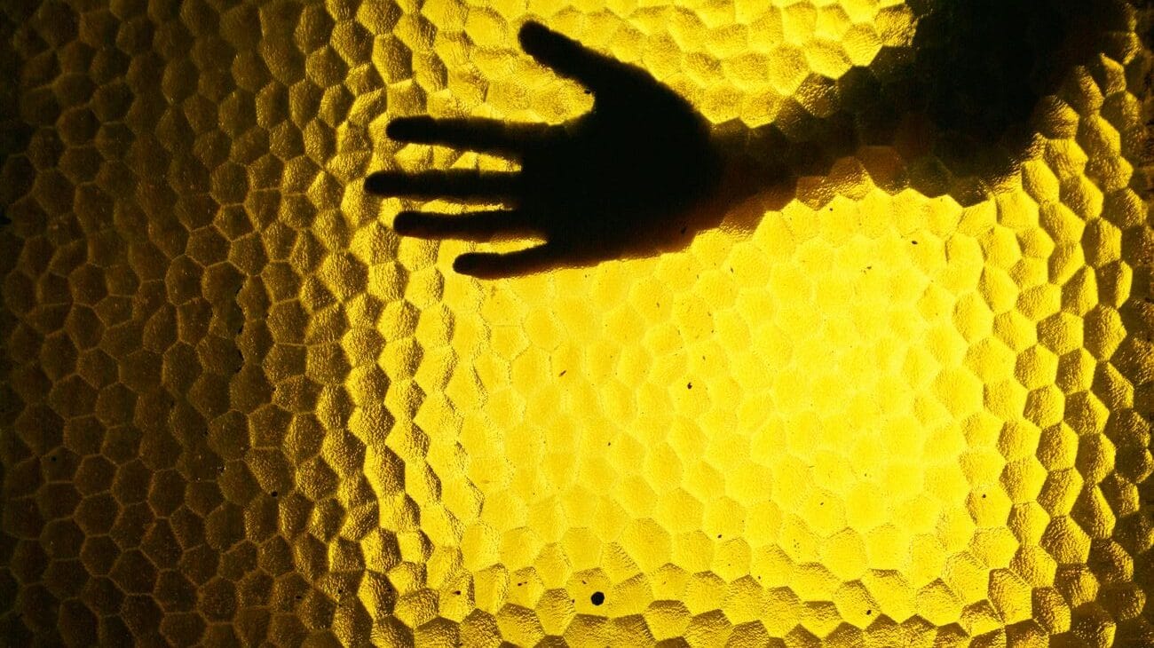 silhouette of hand against textured yellow background