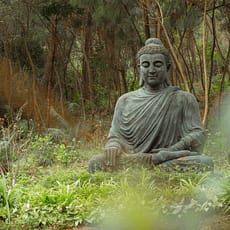 Sortie Nature-Yoga