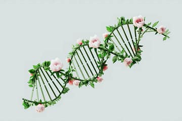 an artist s illustration of artificial intelligence ai this image depicts how ai could assist in genomic studies and its applications it was created by artist nidia dias as part of the