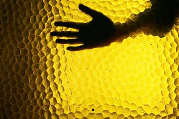 silhouette of hand against textured yellow background