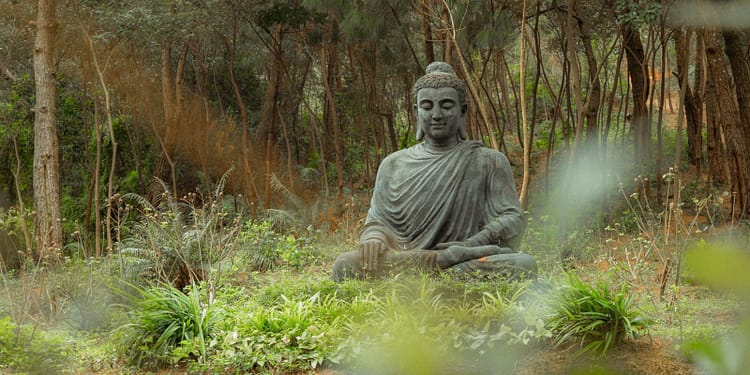 Sortie Nature-Yoga